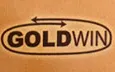 Λογότυπο GOLDWIN